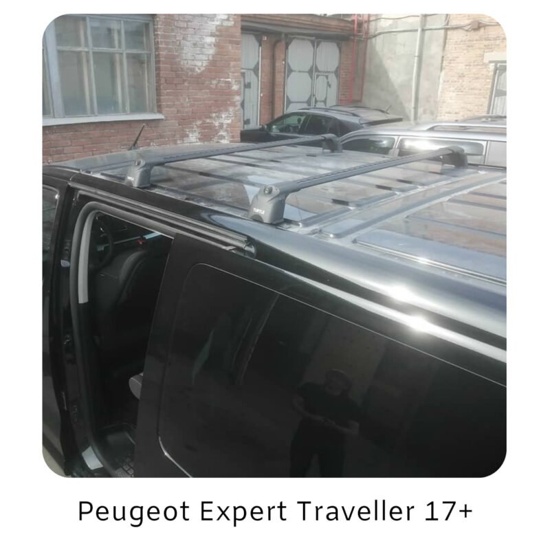 Peugeot Expert Traveller 17+